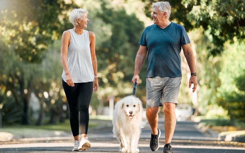 a man and a woman walking a dog on a leash