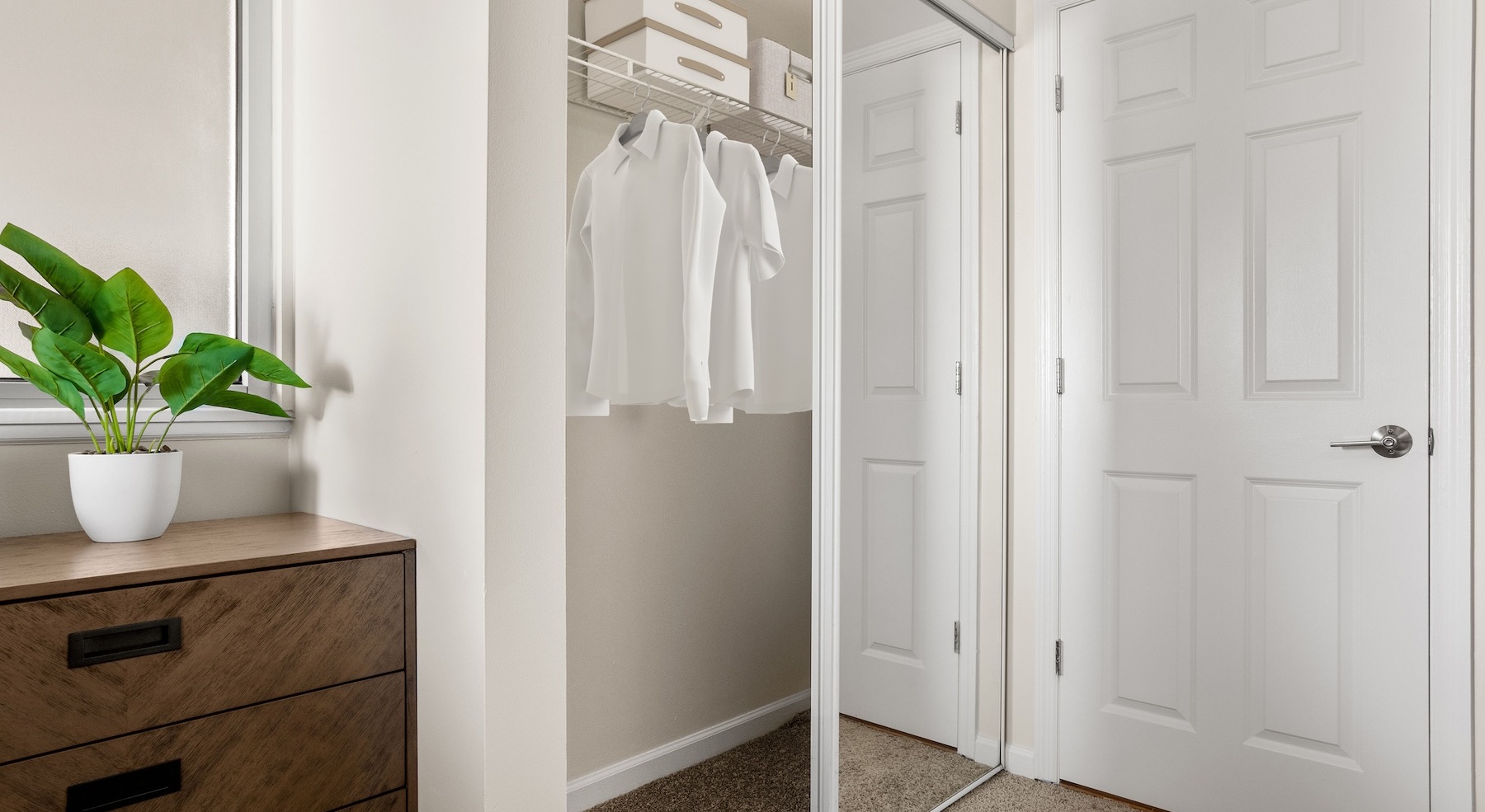 Closet space with shelves and ample lighting