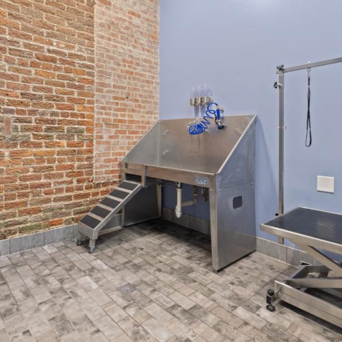 Enjoy our resident-only features a room with a dog spa